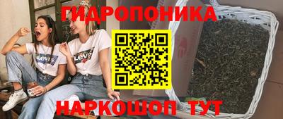 ПСИЛОЦИБИНОВЫЕ ГРИБЫ Тара