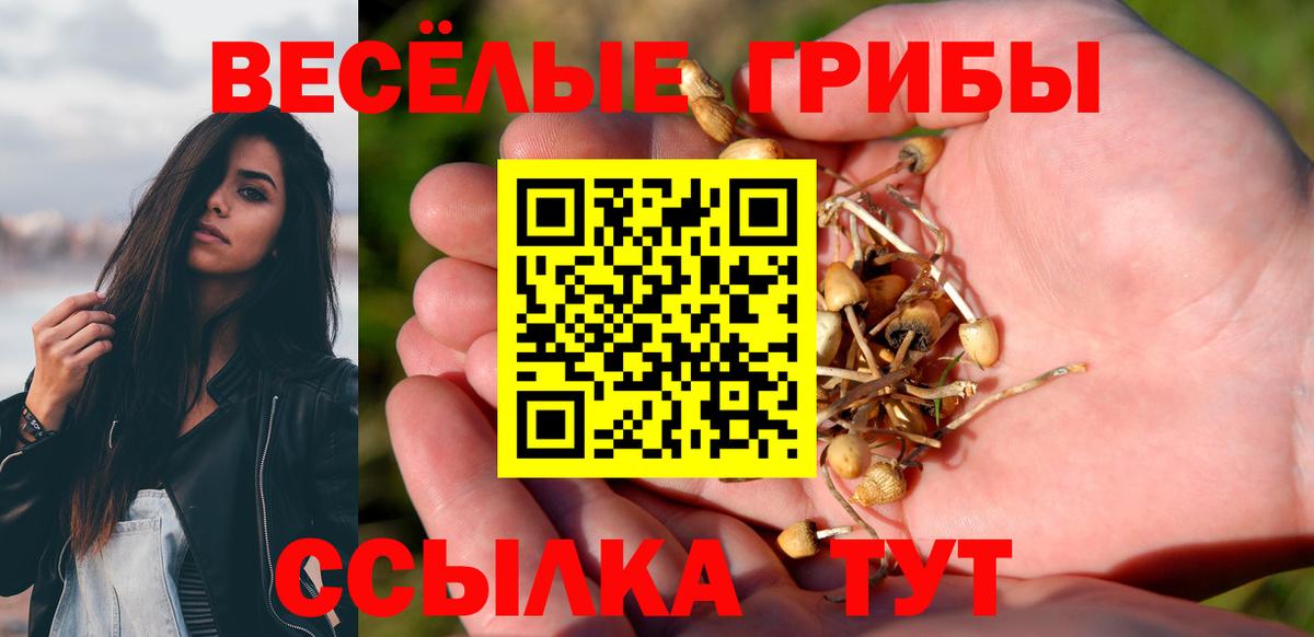 Галлюциногенные грибы Psilocybe  Галлюциногенные грибы GOLDEN TEACHER  Вход с VPN  Нововоронеж 